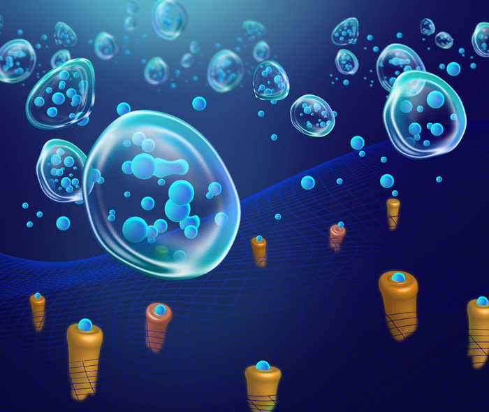 Somatostatin Analoga