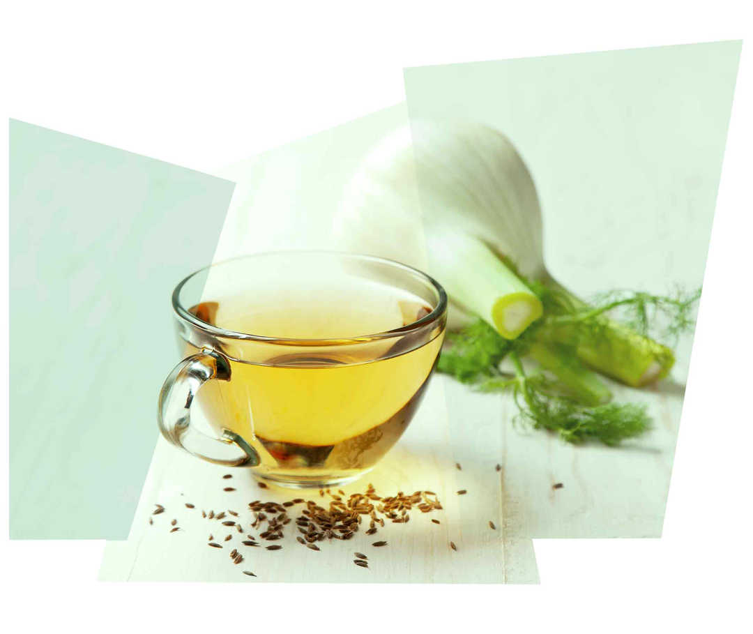 Leben mit NET: Fencheltee hilft bvei Verdauungsproblemen.