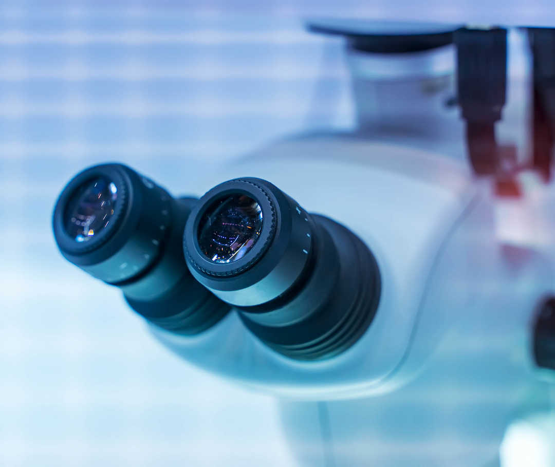 Leben mit NET: Das Okular eines Elektronen-Mikroskops