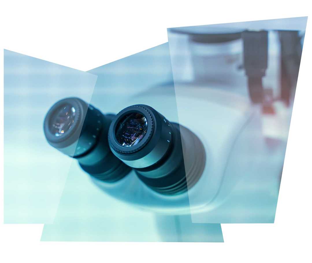 Leben mit NET: Das Okular eines Elektronen-Mikroskops